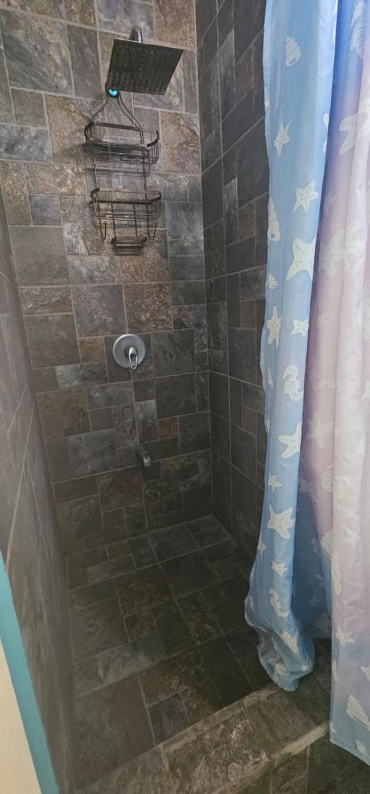 Fish Tobago Guesthouse Or Joy And Brandon Guesthouse Buccoo Habitación foto