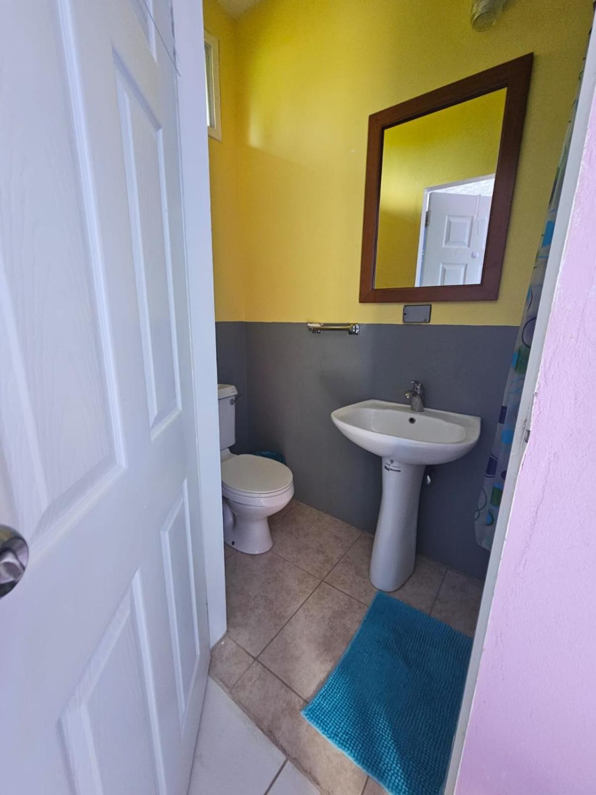 Fish Tobago Guesthouse Or Joy And Brandon Guesthouse Buccoo Habitación foto